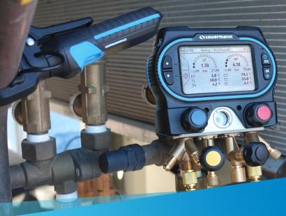 Manifold Sauermann